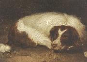 Johann Christoph Rincklake A sporting dog lying down oil painting